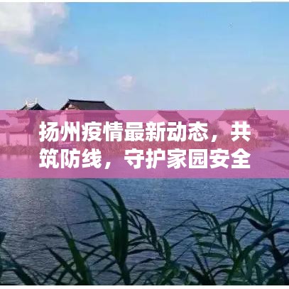 扬州疫情最新动态，共筑防线，守护家园安全