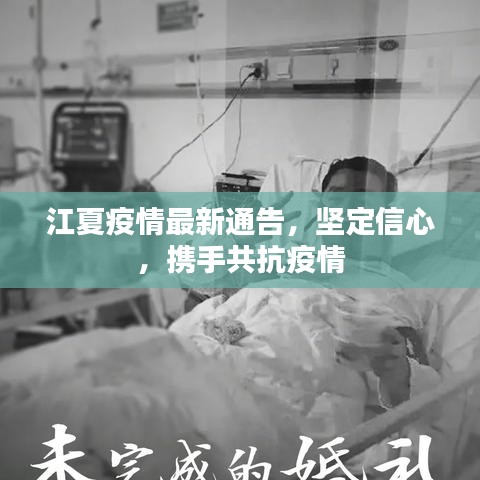 江夏疫情最新通告，坚定信心，携手共抗疫情