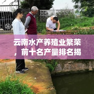 云南水产养殖业繁荣，前十名产量排名揭晓！