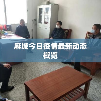 麻城今日疫情最新动态概览