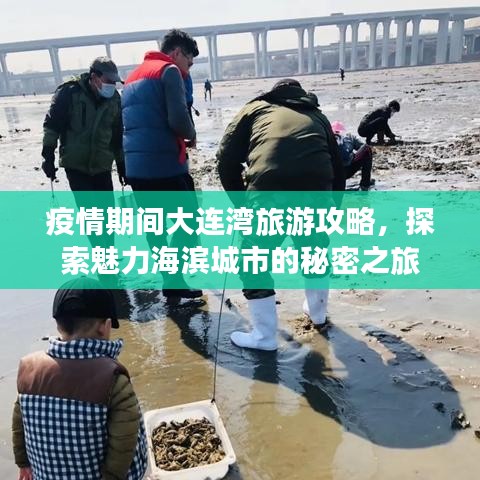 疫情期间大连湾旅游攻略，探索魅力海滨城市的秘密之旅
