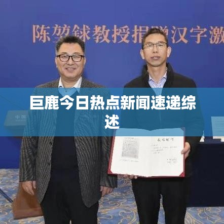 巨鹿今日热点新闻速递综述