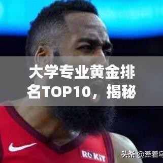 大学专业黄金排名TOP10，揭秘未来职业发展的黄金领域，洞悉前途无量！