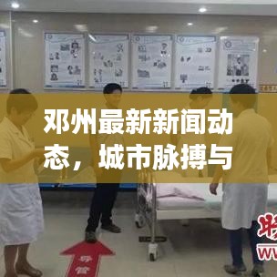 邓州最新新闻动态，城市脉搏与民生焦点全关注