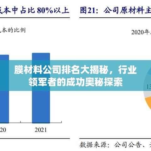 膜材料公司排名大揭秘，行业领军者的成功奥秘探索