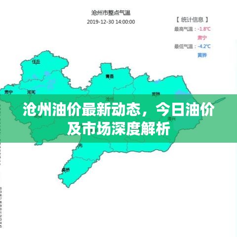 沧州油价最新动态，今日油价及市场深度解析