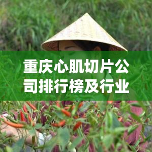 重庆心肌切片公司排行榜及行业现状与趋势深度剖析