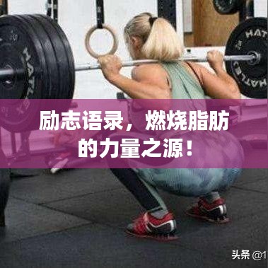 励志语录，燃烧脂肪的力量之源！