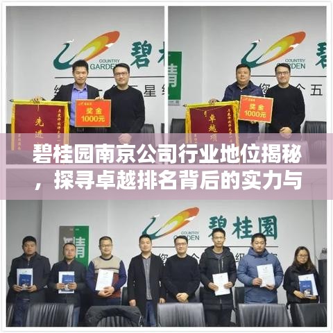 碧桂园南京公司行业地位揭秘，探寻卓越排名背后的实力与优势