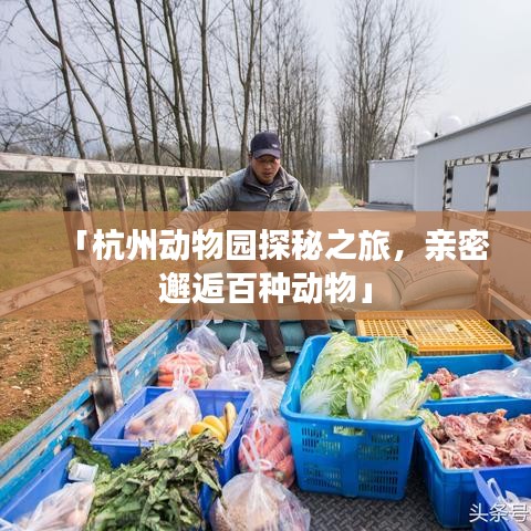 「杭州动物园探秘之旅，亲密邂逅百种动物」