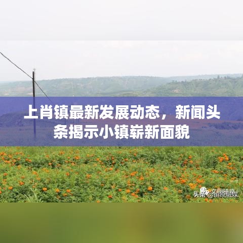 上肖镇最新发展动态，新闻头条揭示小镇崭新面貌