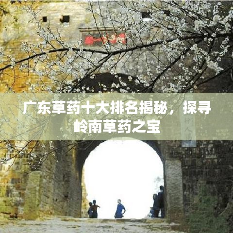 秀外慧中