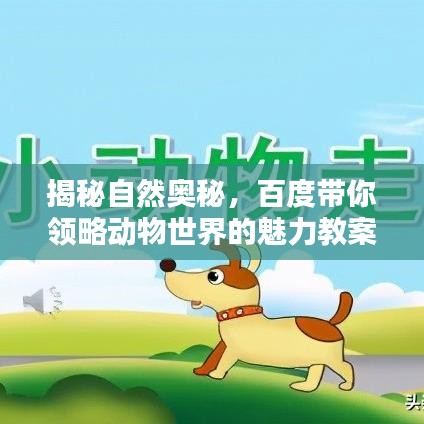 揭秘自然奥秘，百度带你领略动物世界的魅力教案