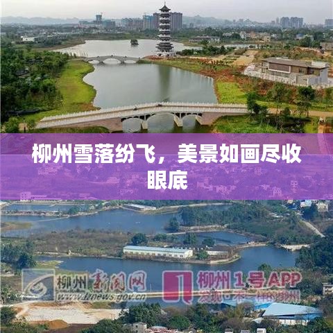 柳州雪落纷飞，美景如画尽收眼底