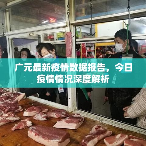 广元最新疫情数据报告，今日疫情情况深度解析