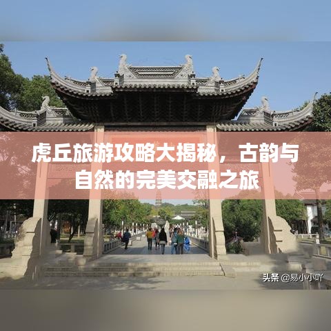 虎丘旅游攻略大揭秘，古韵与自然的完美交融之旅