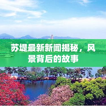 苏堤最新新闻揭秘，风景背后的故事