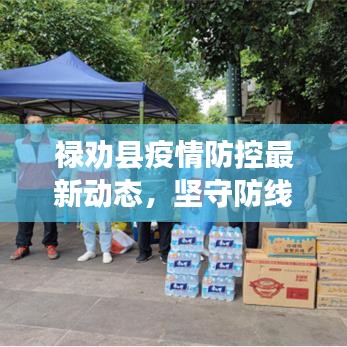 禄劝县疫情防控最新动态，坚守防线，共克时艰，共同守护家园安全