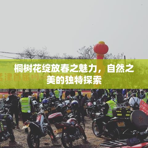 桐树花绽放春之魅力，自然之美的独特探索