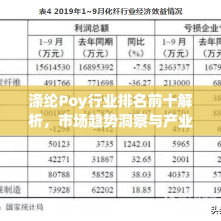 涤纶Poy行业排名前十解析，市场趋势洞察与产业深度分析