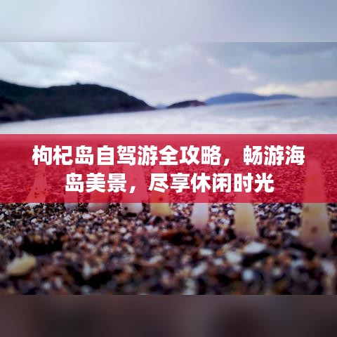 枸杞岛自驾游全攻略，畅游海岛美景，尽享休闲时光