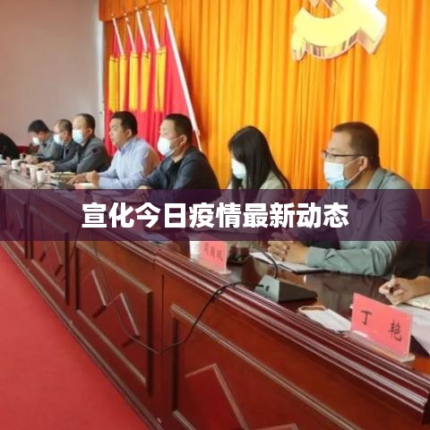 纲挈目张