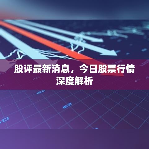 股评最新消息，今日股票行情深度解析