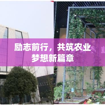 励志前行，共筑农业梦想新篇章