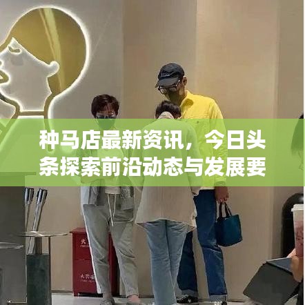 种马店最新资讯，今日头条探索前沿动态与发展要闻