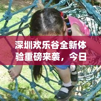 深圳欢乐谷全新体验重磅来袭，今日最新消息揭秘！