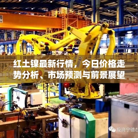 红土镍最新行情，今日价格走势分析、市场预测与前景展望