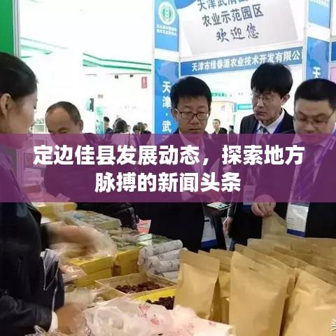 定边佳县发展动态，探索地方脉搏的新闻头条