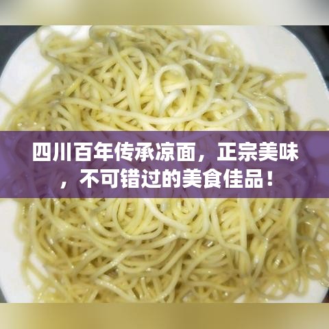 四川百年传承凉面，正宗美味，不可错过的美食佳品！
