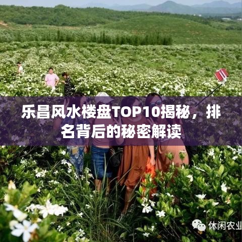 乐昌风水楼盘TOP10揭秘，排名背后的秘密解读
