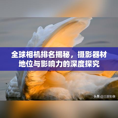 从容就义