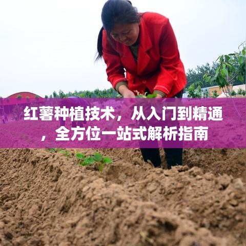 飞潜动植