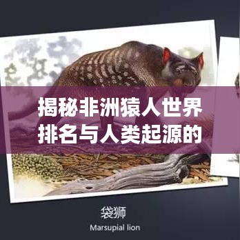 揭秘非洲猿人世界排名与人类起源的奇妙探索之旅