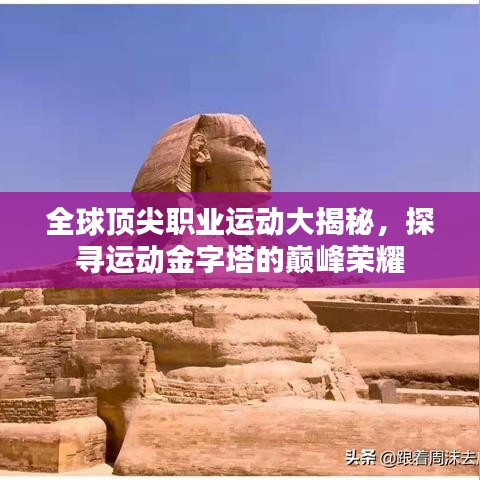 全球顶尖职业运动大揭秘，探寻运动金字塔的巅峰荣耀
