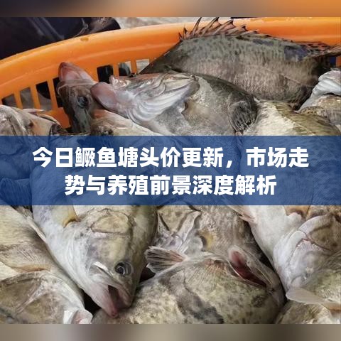毛手毛脚