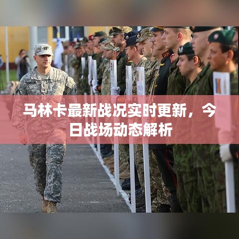 马林卡最新战况实时更新，今日战场动态解析