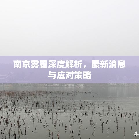 南京雾霾深度解析，最新消息与应对策略