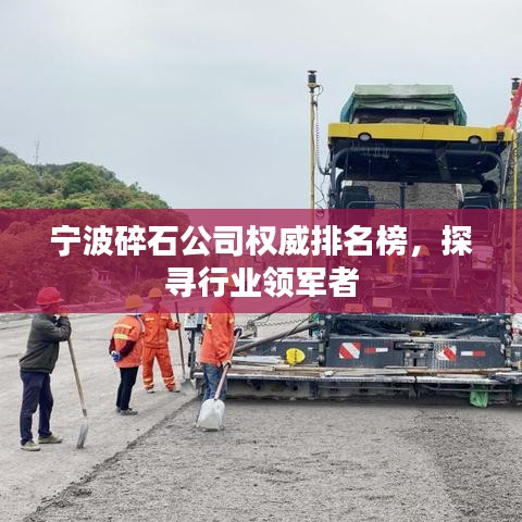 宁波碎石公司权威排名榜，探寻行业领军者