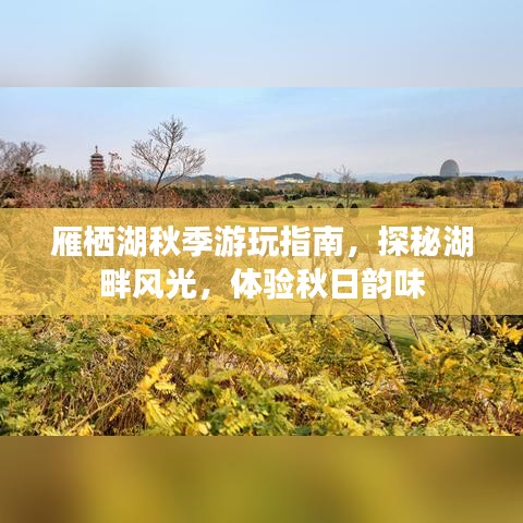 雁栖湖秋季游玩指南，探秘湖畔风光，体验秋日韵味