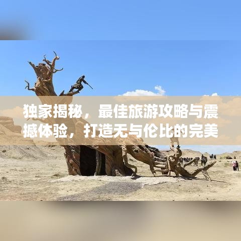 独家揭秘，最佳旅游攻略与震撼体验，打造无与伦比的完美旅行之旅！