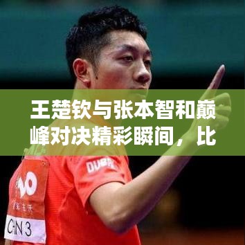 王楚钦与张本智和巅峰对决精彩瞬间，比赛回放深度解析！