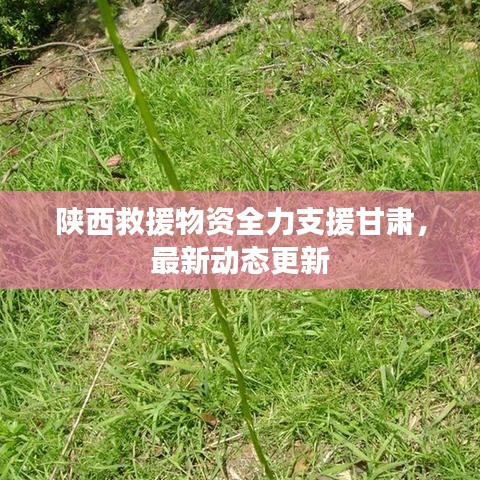 陕西救援物资全力支援甘肃，最新动态更新