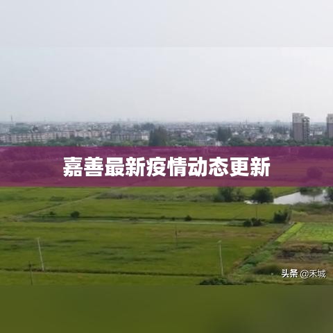 东张西望