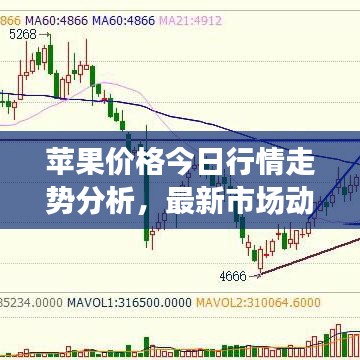苹果价格今日行情走势分析，最新市场动态与预测报告