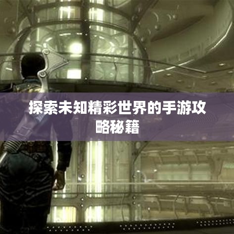 探索未知精彩世界的手游攻略秘籍
