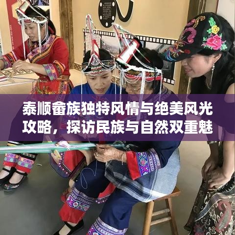 读书三到